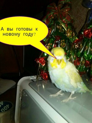 PicsArt_1386995686606.jpg