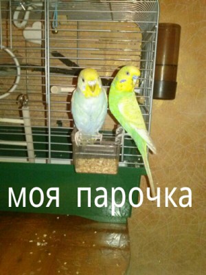 PicsArt_1387175970055.jpg
