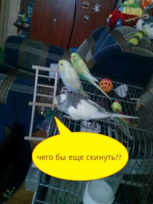 PicsArt_1388795619417.jpg