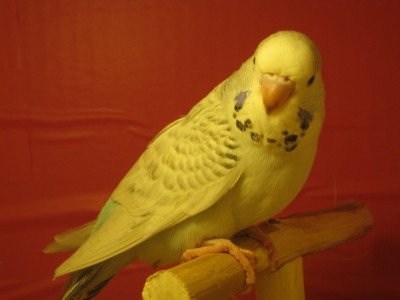 IMG_5582.JPG