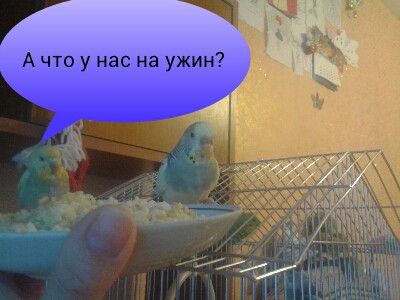 PicsArt_1389503858538.jpg