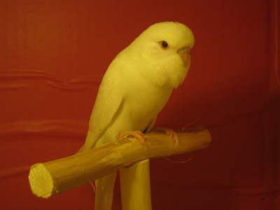IMG_5673.JPG