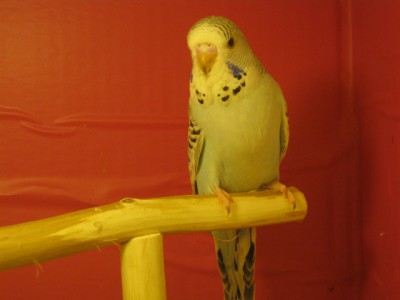 IMG_5691.JPG