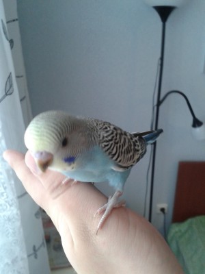 20140211_142605.jpg