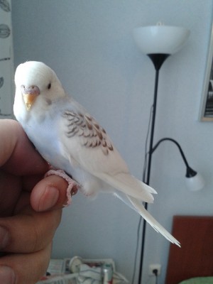 20140211_142343.jpg