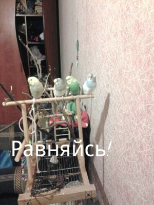PicsArt_1393032473521.jpg