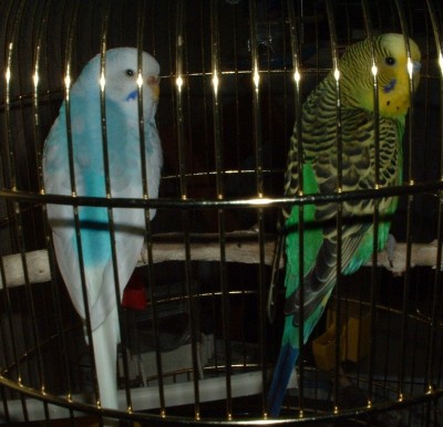 DSCF0012.JPG