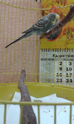 20140603_173614.jpg