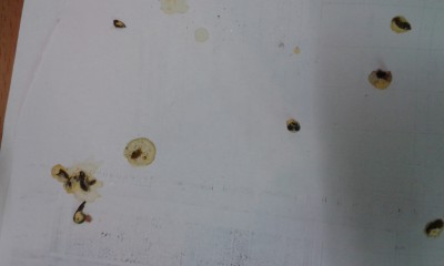 20140609_092150.jpg