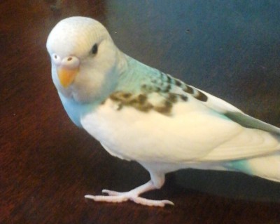20140508_154101.jpg