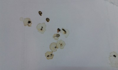 20140614_070541.jpg