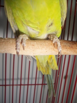 100_6590.JPG