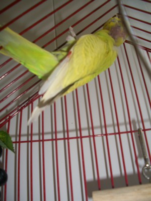 100_6578.JPG