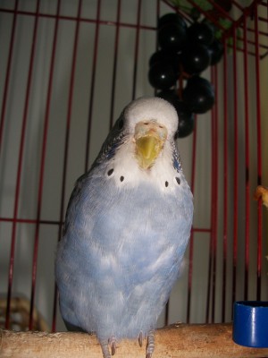 100_6631.JPG