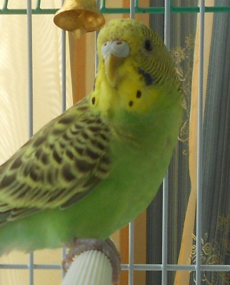 DSCN4667.JPG