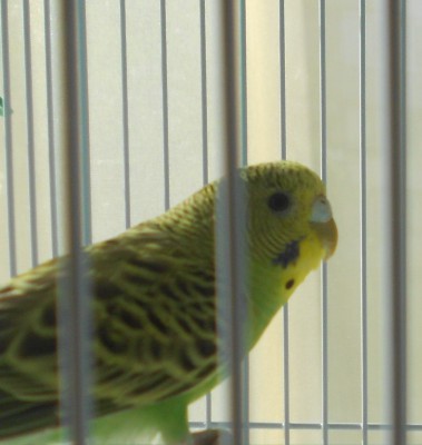DSCN4657.JPG