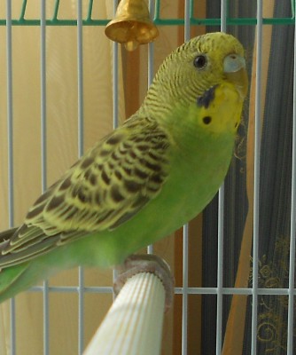 DSCN4666.JPG