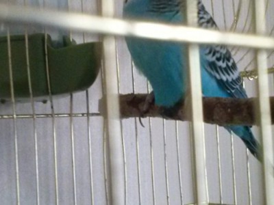 CAM00253.jpg