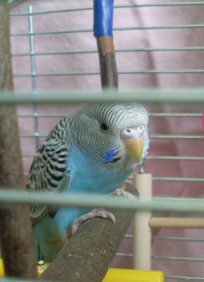 SL375988.JPG