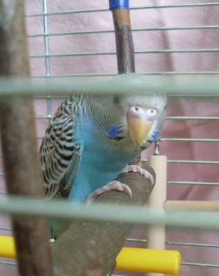 SL375990.JPG