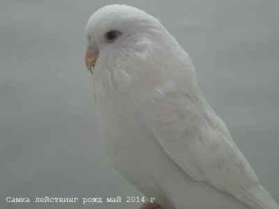 IMG_6215.JPG