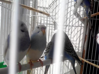 rps20141014_083241.jpg