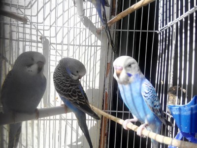 rps20141014_083355.jpg