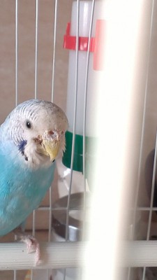 IMAG0339прр.jpg