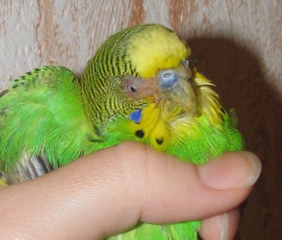 IMG_7390.JPG