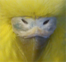 xZyF0d4OsU8.png