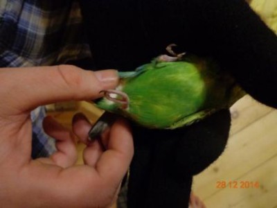 06.jpg