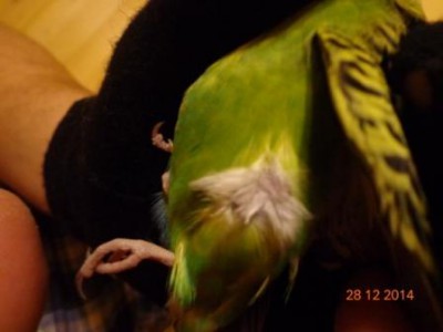 07.jpg