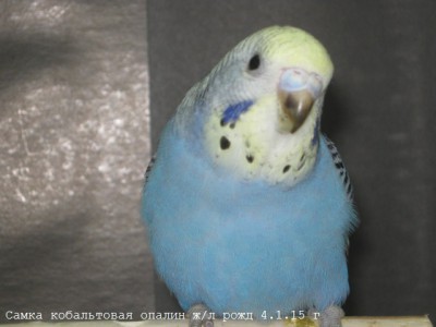IMG_6391.JPG