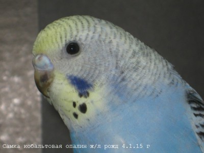 IMG_6394.JPG