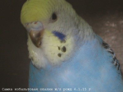 IMG_6401.JPG