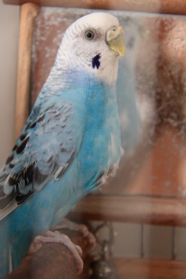IMG_5018_новый размер_новый размер.JPG