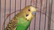 IMG2015032_5222785_16616885.jpg