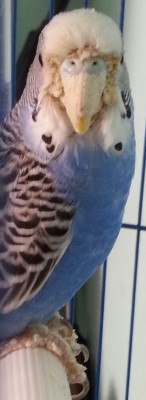 20150427_161119.jpg
