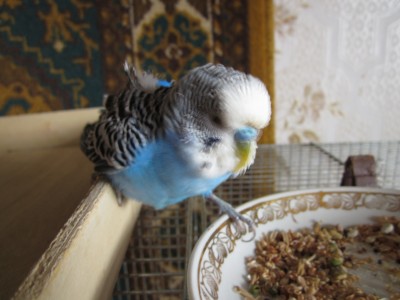 IMG_6701.JPG