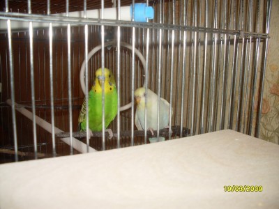 SDC11221.JPG