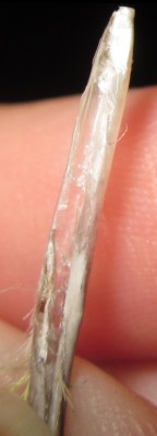 IMG_6723.JPG