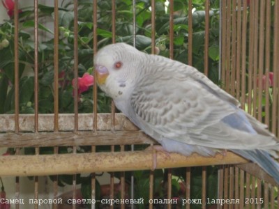 IMG_6828.JPG