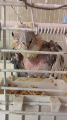IMAG0707.jpg