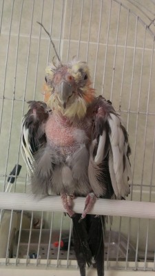IMAG0720.jpg