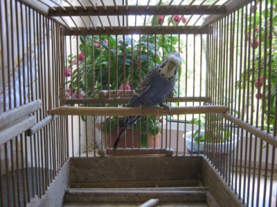 IMG_6882.JPG