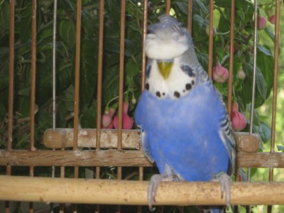 IMG_6889.JPG