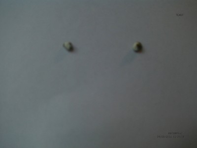 MVI00170.JPG