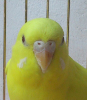 _20150720_175713.JPG