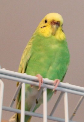 IMG_6998_.jpg