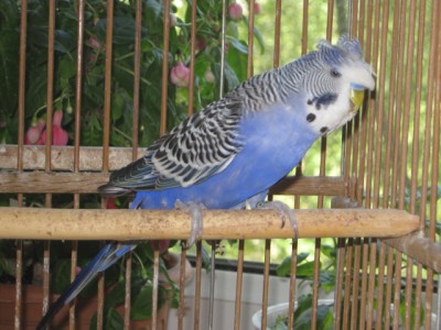 IMG_6886.JPG